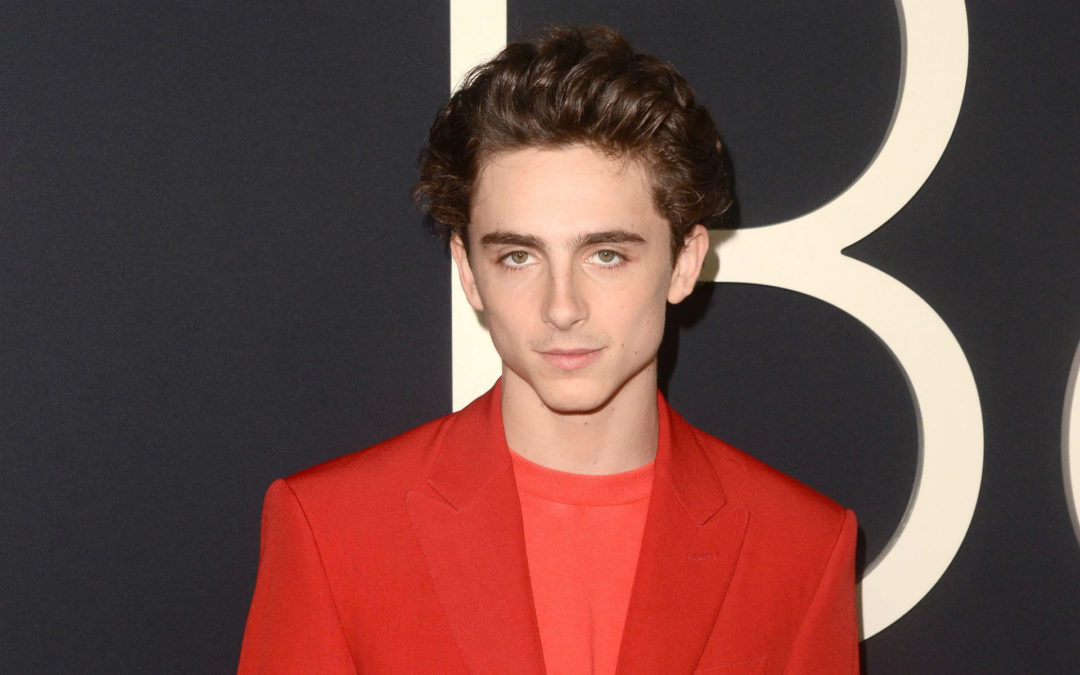 Timothée Chalamet Utilizes His Platform To Save People From Drug Abuse