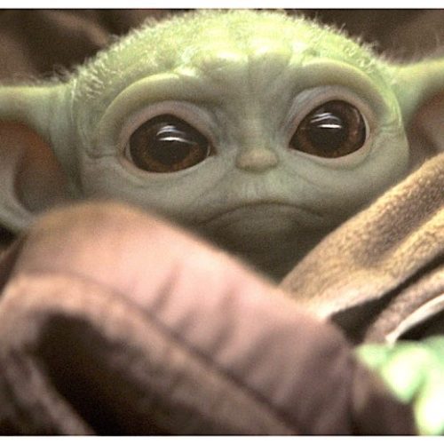 Baby Yoda: A In-Depth Analysis Of Why Society Is Obsessed With Cute – Disney+ and “Star Wars: The Mandalorian’ Have Struck Gold With This Adorable Creature