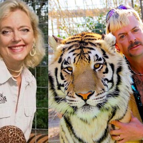 ‘Tiger King’: Murder, Mayhem, and Madness – The Tales and Trials of Joe Exotic, Big Cats, Did Carole Baskin Do It?