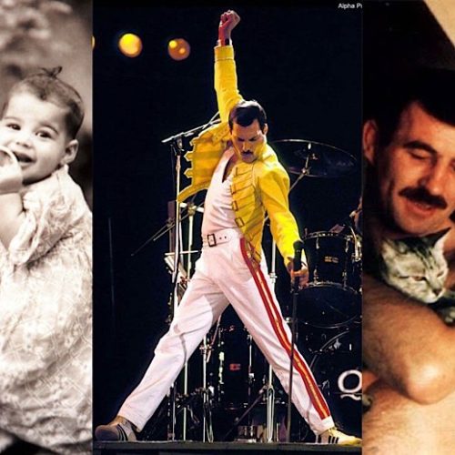 A Tribute To Freddie Mercury – A Hero That Dared To Be Himself