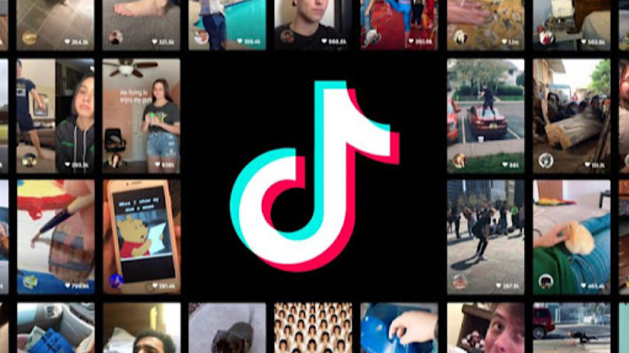 Have You Watched These 8 Amazing Tiktok Creators Yet? - Hollywood Insider