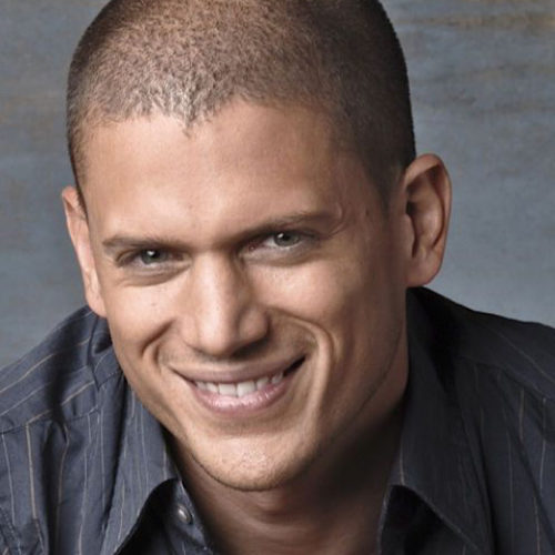 The Real Hero: Wentworth Miller – First Hollywood Leading Man to Accept Only Gay Roles