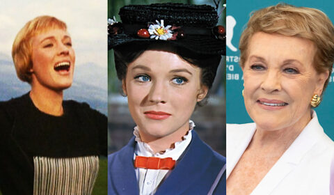 32 Facts About Julie Andrews: The Musical Icon and Living Legend - The ...