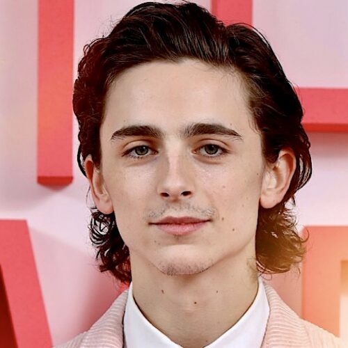 The Quiet Meteor That Is Timothée Chalamet: The Rise and Journey of the Superstar and Heir to Leonardo Dicaprio’s Throne