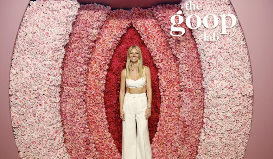 The Hollywood Insider - Gwyneth Paltrow Goop